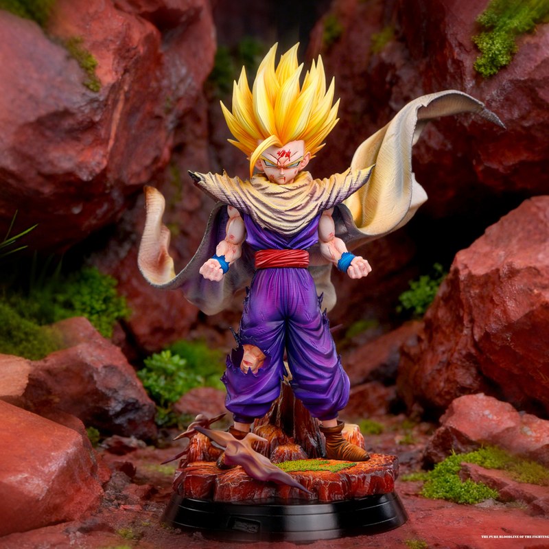 1/6 孙悟饭 Son Gohan 七龙珠 官图 1