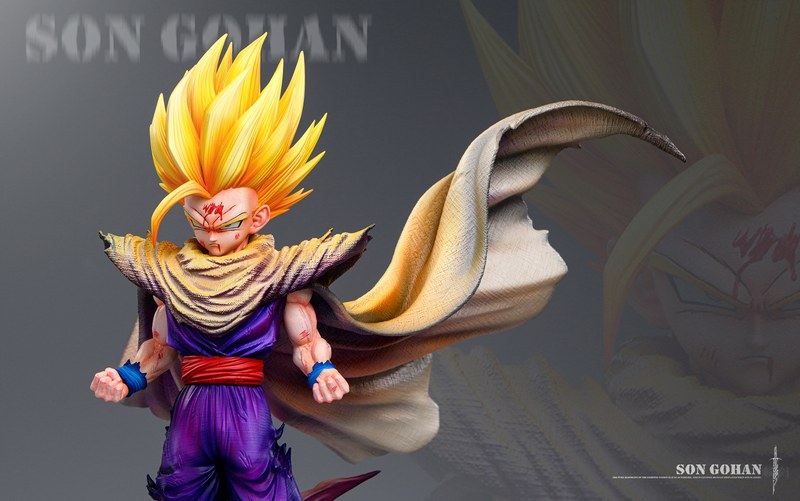 1/6 孙悟饭 Son Gohan 七龙珠 官图 5