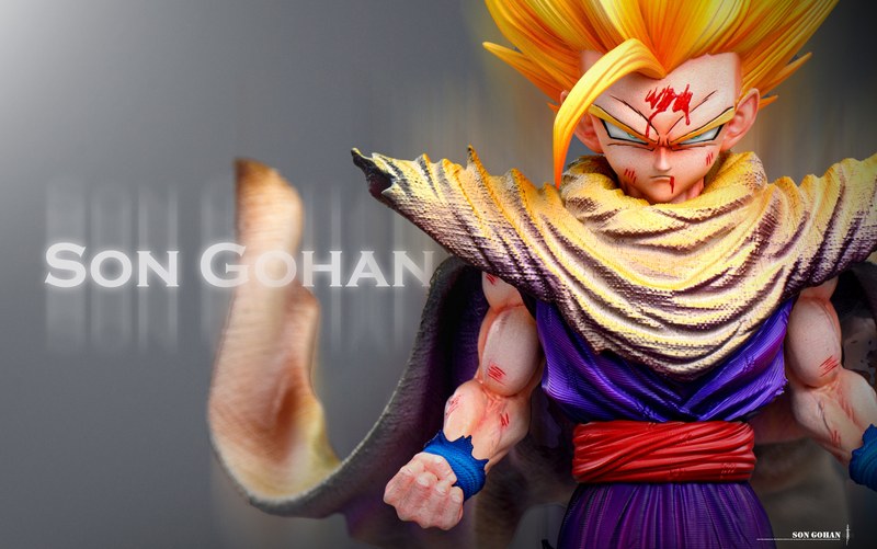 1/6 孙悟饭 Son Gohan 七龙珠 官图 6