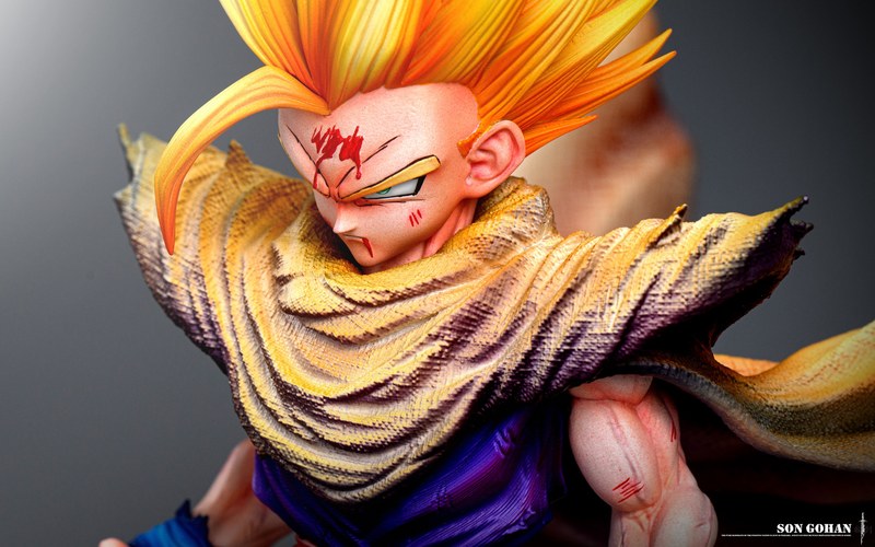1/6 孙悟饭 Son Gohan 七龙珠 官图 8